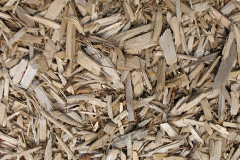 biomass boilers Bronydd