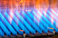 Bronydd gas fired boilers